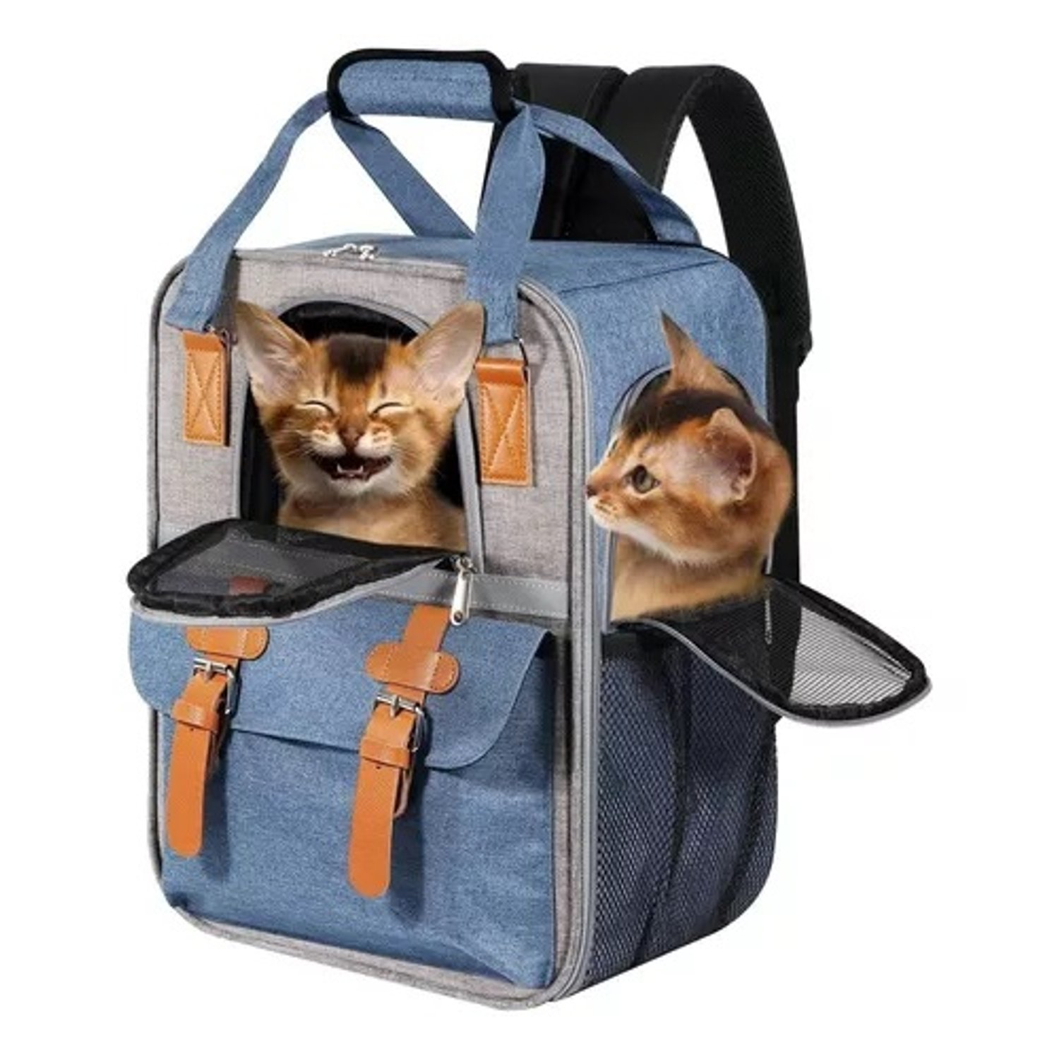Mochila porta cachorros sale