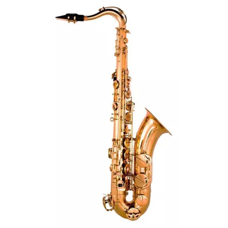 FONTAINE Saxofón Tenor Profesional Fontaine FT 6435 L | falabella.com