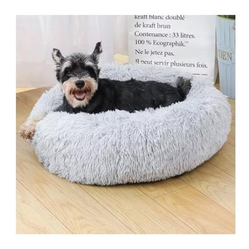 Dog Blanket Gordmans Dog Beds Hotel In Bismarck Best Western