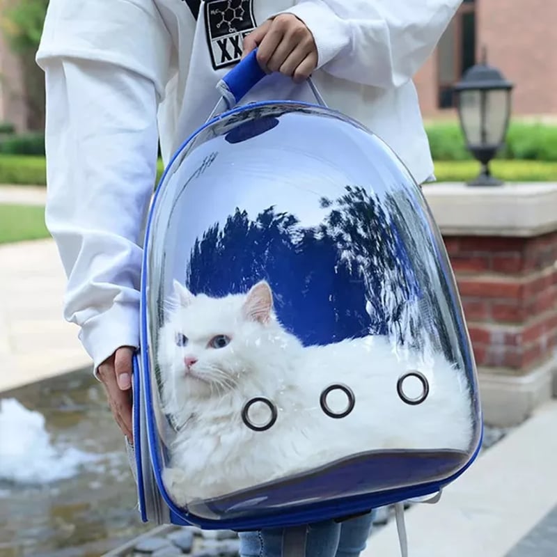 Mochila Gato Transportes Transparente Mascotas Gatos Bolso Sodimac Chile