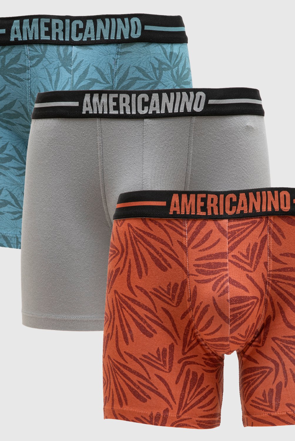 Boxer americanino por mayor hotsell