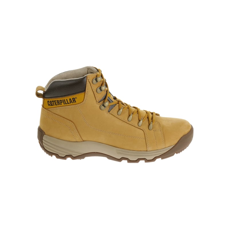 Botin cat new arrivals