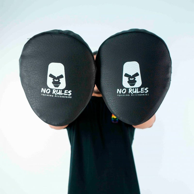 NO RULES - Golpeadores de Boxeo