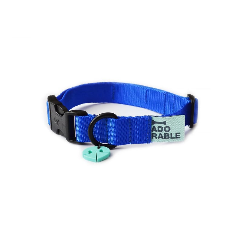 WAWAW - Collar para perro talla XL unicolor adorable azul rey Wawaw