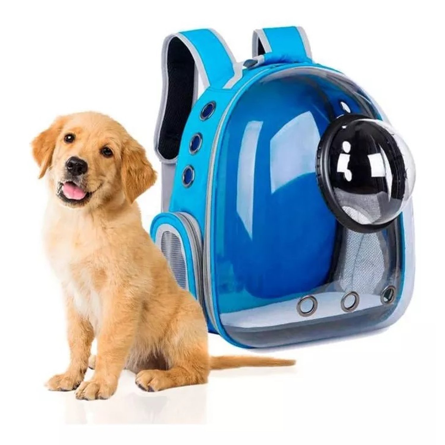 Maleta para perro o gato Morral Mascotas UNIVERSAL NUTRITION falabella