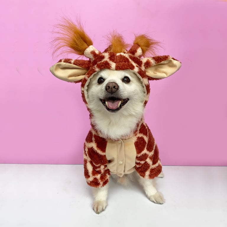 Disfraz De Jirafa Para Bebé De Dress Up America - Mameluco De Peluche Con Capucha Para Halloween, Talla 12-24 Meses