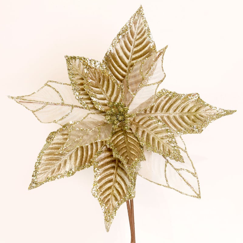 PINCASO - Poinsettia Escarch 30 cm Olivo