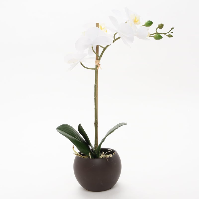 MICA - Orquídea Blanca Redonda 49 cm