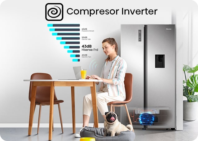 Hisense BCD518 compresor inverter