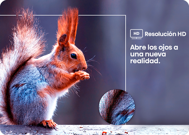 Televisor Hisense Resolucion HD