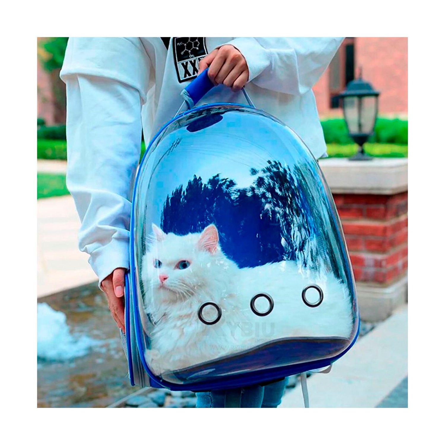 Mochila Burbuja para Gato Azul Sodimac Peru