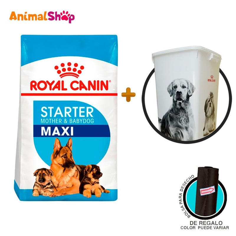 ROYAL CANIN - Comida de perro Royal Canin Shn Maxi Starter M&B 15 kg