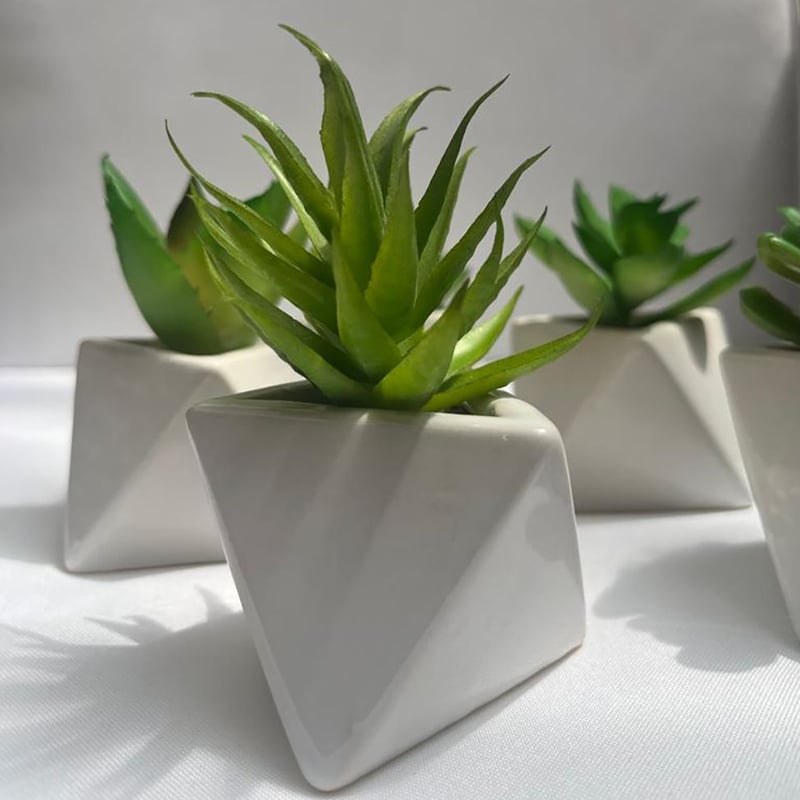 2 Plantas decorativas suculentas con Base Triangular para el hogar ...