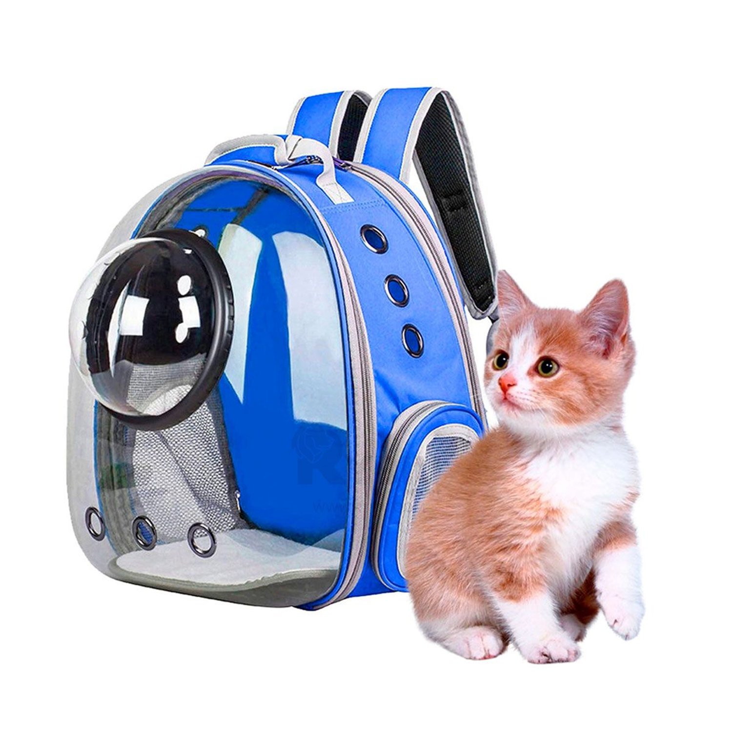 Mochila Burbuja para Gato de Color Azul GENERICO falabella