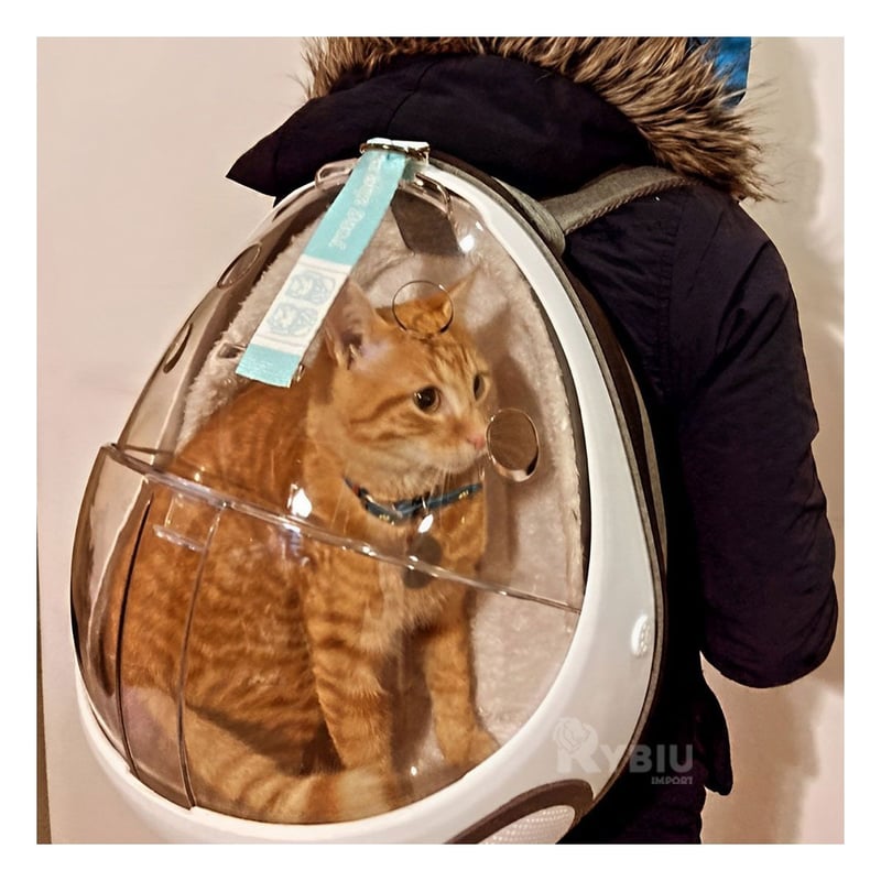 Mochila de gato sales