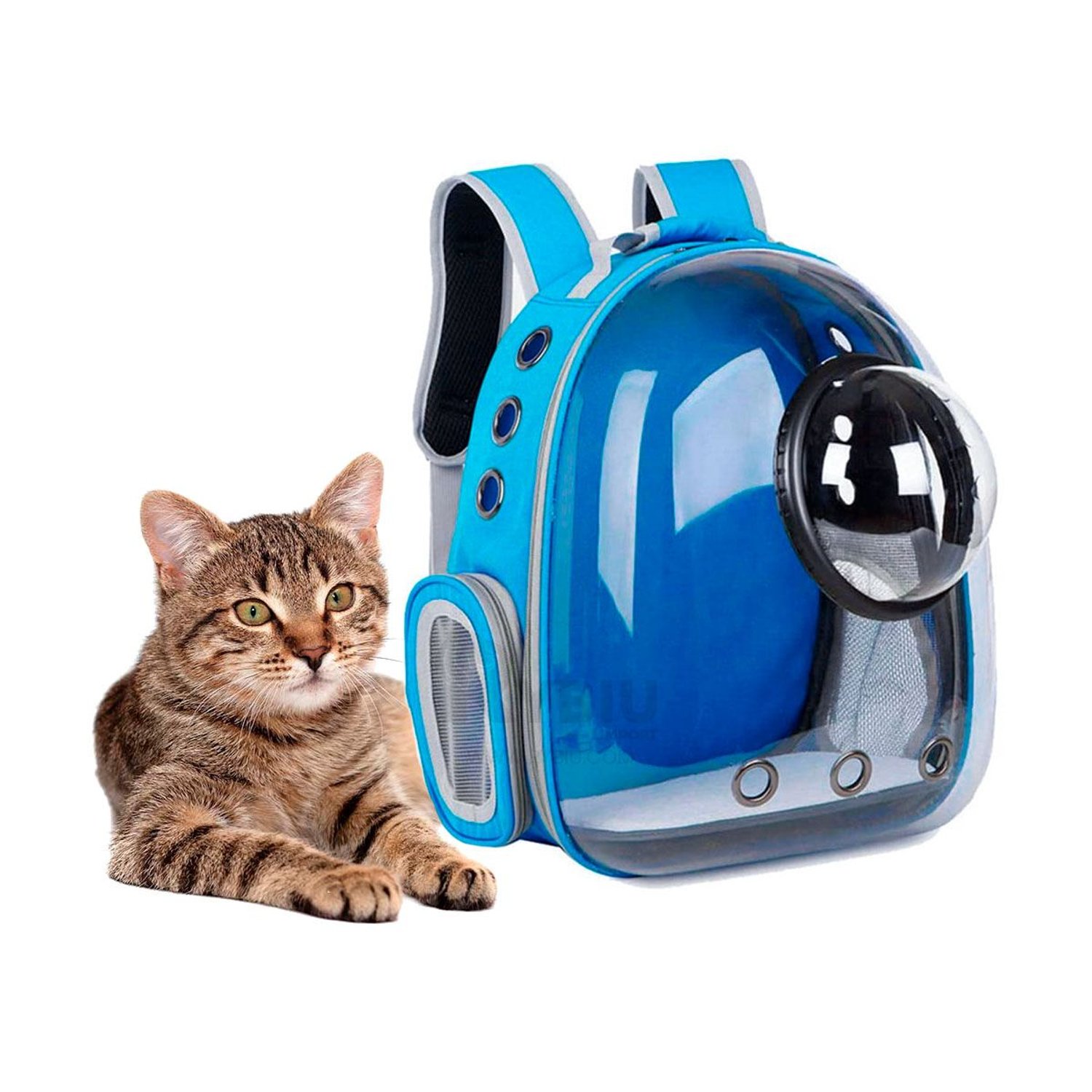 Bolso para transportar gatos shop