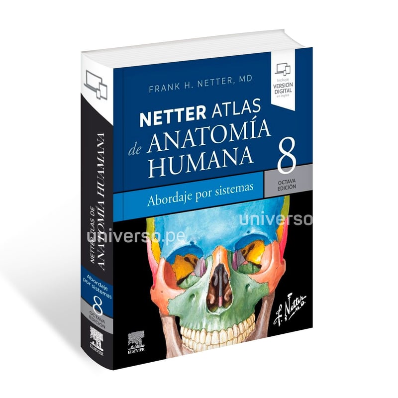Netter Atlas de Anatomía Humana Abordaje por Sistemas - Octava Edición ...