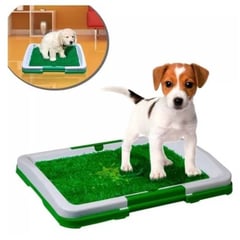 OEM - Baño para Perro - Puppy Potty Pad