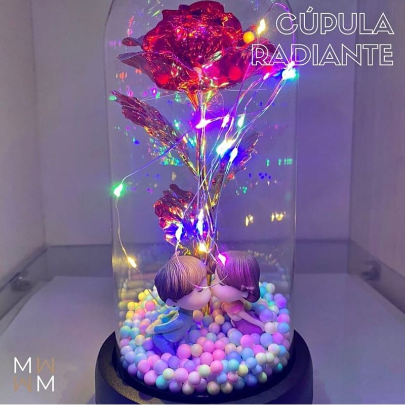 Combo de Rosa Eterna con Oso de Rosas - Rosas Eternas Barranquilla