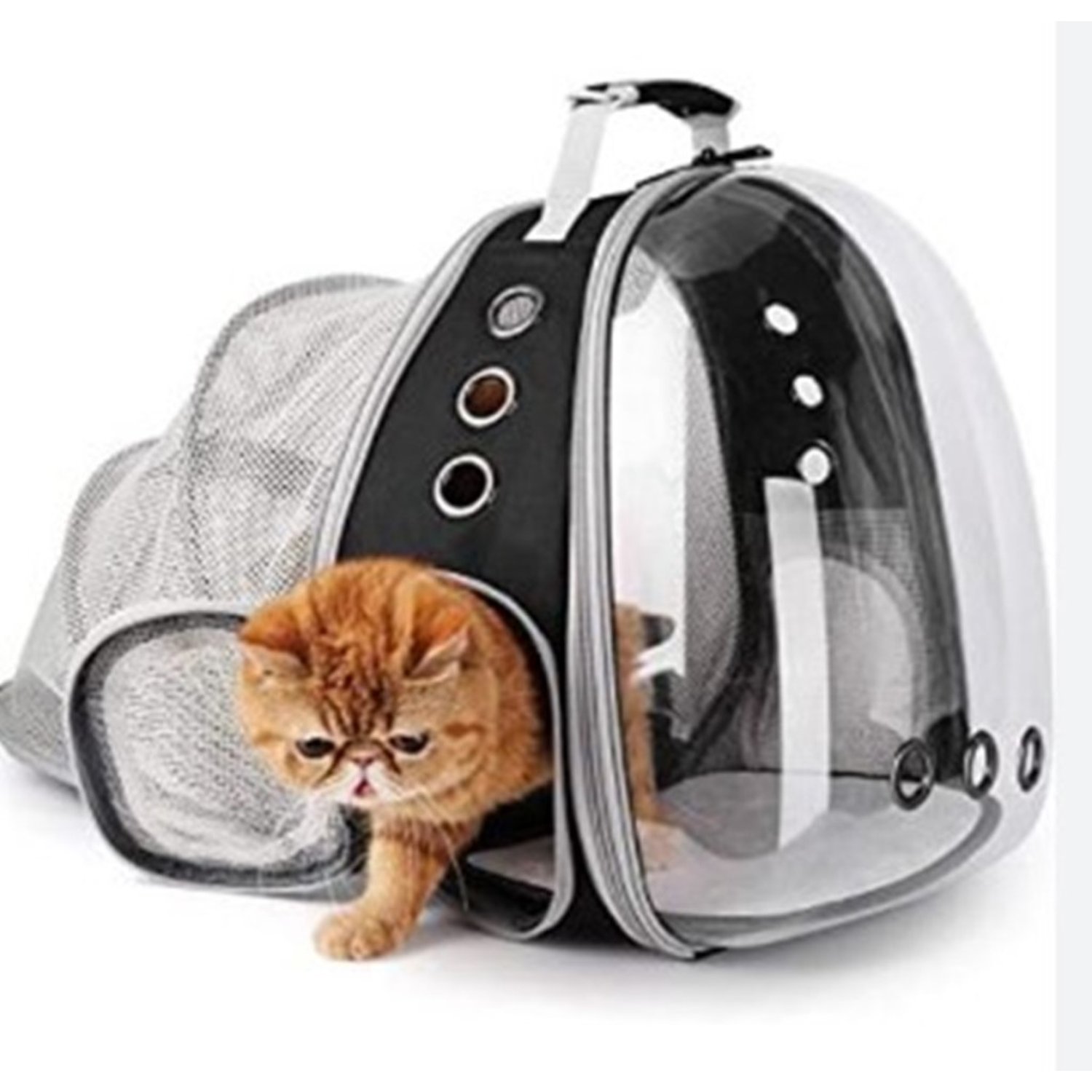 Mochila paseo gato hotsell