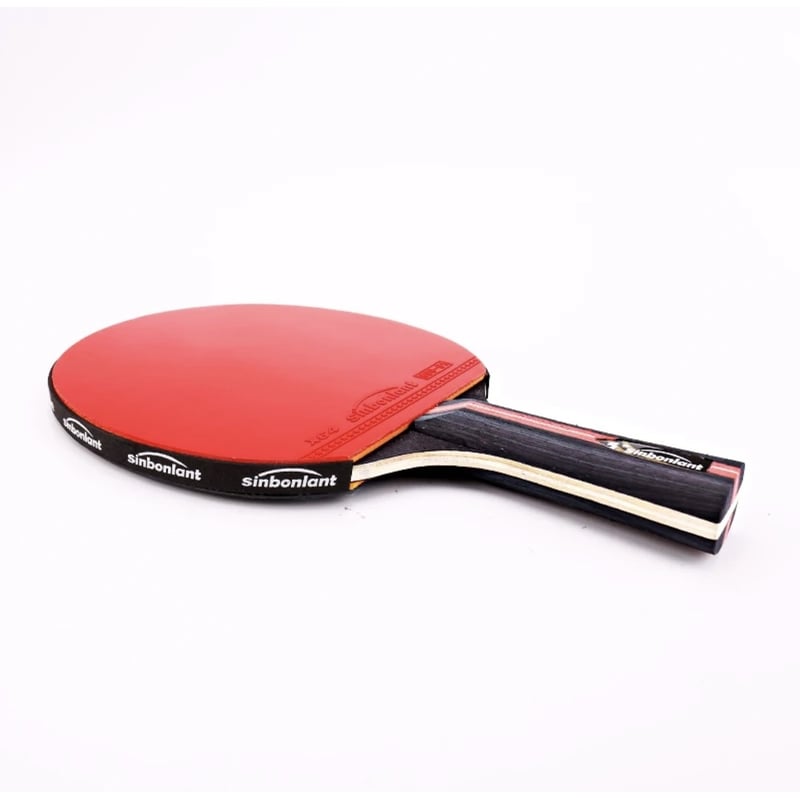 Raqueta De Tenis De Mesa Dhs 4006 Cs Grip Cuotas Sin Interu00e9s