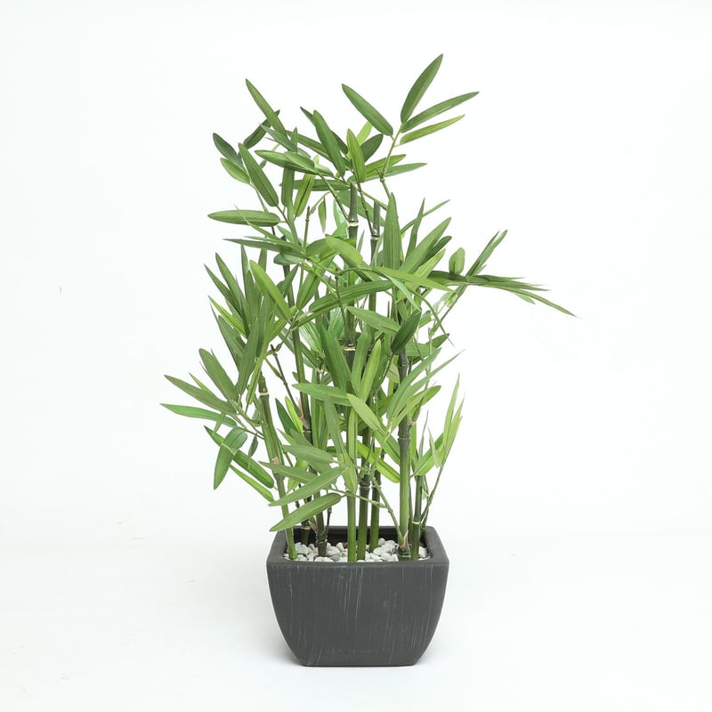 MICA - Planta Bambo Pot 46x14.5cm