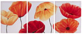 Conjunto 3 Telas Flores, 40x50cm