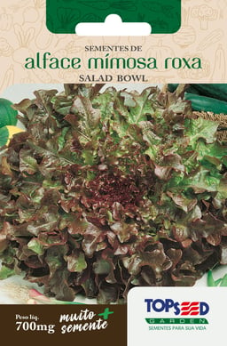Semente Horta Alface Mimosa Salada Bowl, Roxa
