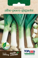 Semente Horta Alho-Porro Gigante