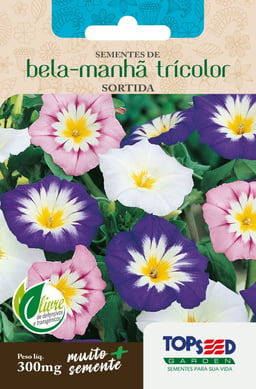 Semente Flor Bela-Manh Tricolor