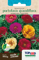Semente Flor Portulaca Grandiflora Dobrada Sortida Topseed Garden
