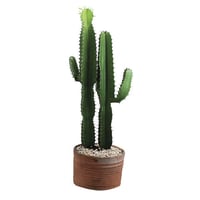 Cactus Mandacaru , Verde, 1,70m