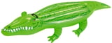 Boia Crocodilo Pequeno Verde 167x89cm