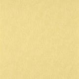 Papel de Parede Vinílico Colours 0,52x10m Amarelo