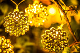 Cordão Decorativo Floco de Neve 20 Lâmpadas LED, Dourado