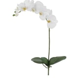 Haste Orquidea Phalaenopsis Real Toque X