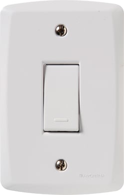 Conjunto Interruptor Simples 4X2 10A Lux2 Branco