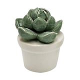 Mini Vaso Decorativo Suculenta Echeveria Verde e Branco