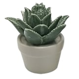 Mini Vaso Decorativo Suculenta Titubens Verde e Branco