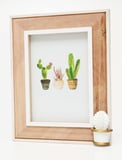 Porta-Retrato Cactus Spines 25x20cm Branco e Bege