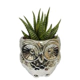 Cachepot Ceramica Little Owl 12,5x12,5x12cm Prata