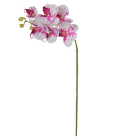 Haste Orquídea Phalaenopsis Real Toque X6 Rosa e Branco