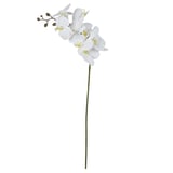 Haste Orquídea Phalaenopsis Real Toque 3D X8 Branco