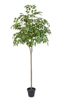 Planta Artificial Mini Ficus