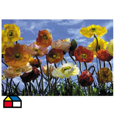 Papel fotomural Poppy 368 cm 8 paneles