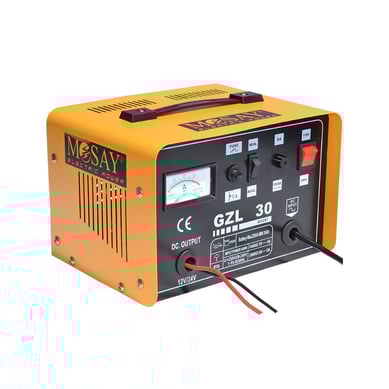 Cargador de batera 12/24V 30 A