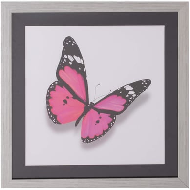 Cuadro Mariposa Fucsia 50x50 cm