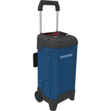 Cargador de batera 12/24V 30 A
