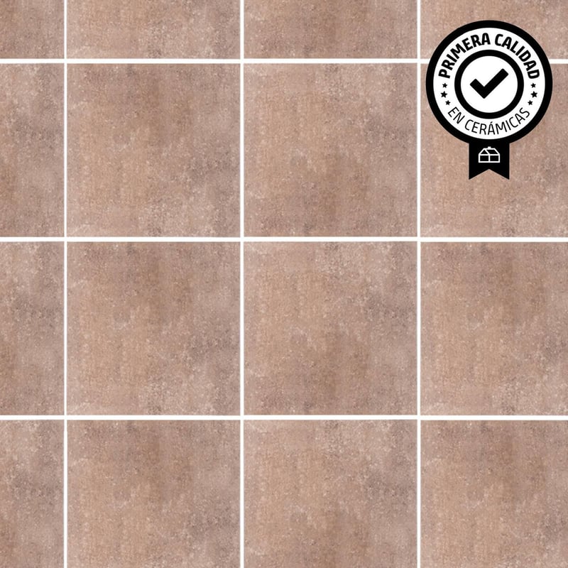 Piso De Color Sólido De Baño Y Azulejos De La Pared