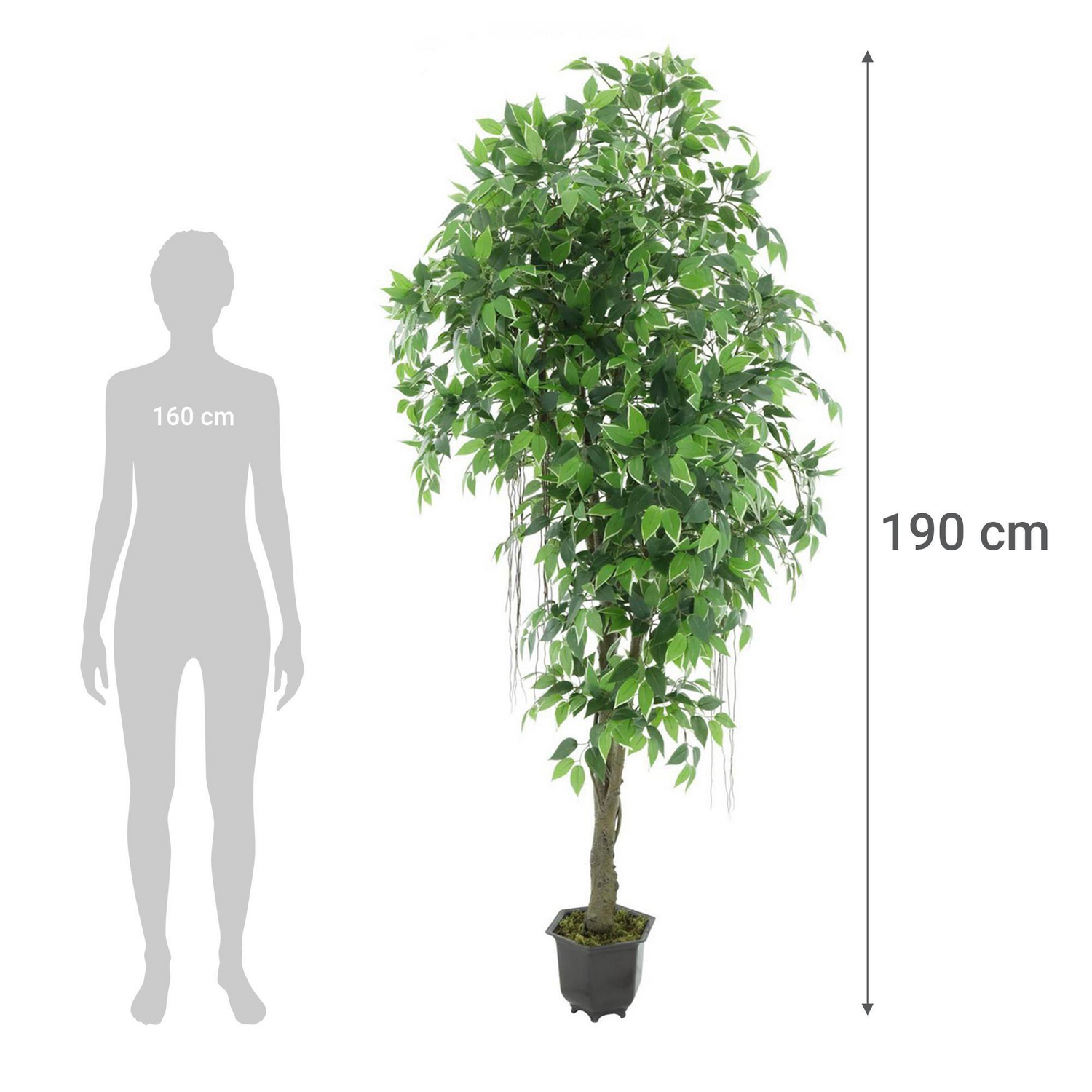 Planta artificial mini ficus 190 cm | Sodimac - Falabella